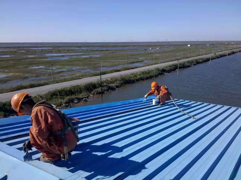 栖霞彩钢瓦屋面防腐翻新